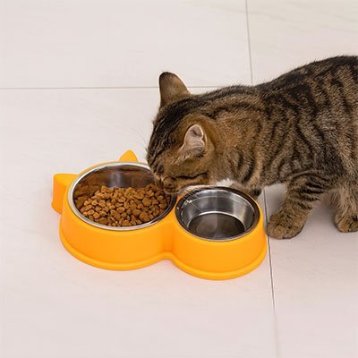 Gamelle pour chat | MiaouChef Édition - Chicetchat
