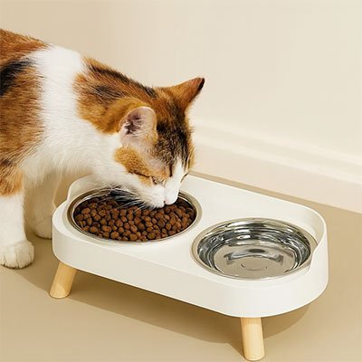 Gamelle pour chat | Catello - Chicetchat