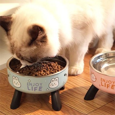 Gamelle chat surélevée | Katera - Chicetchat