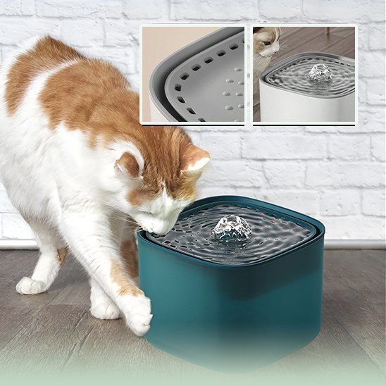 Fontaine à eau chat | Anti - déshydratation - Chicetchat