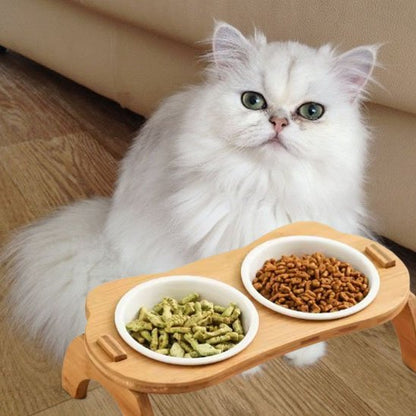 Gamelle chat | Catify - Chicetchat
