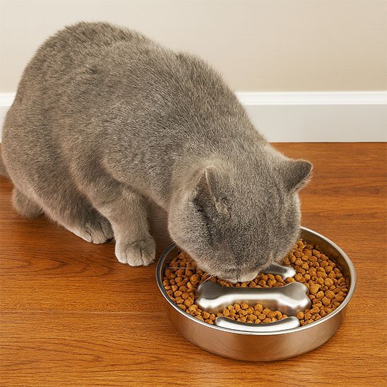 Gamelle anti glouton chat | DigestCare - Chicetchat