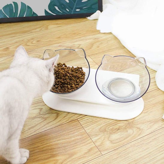 Gamelle chat | Félisse - Chicetchat