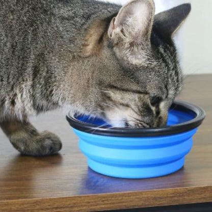 Gamelle chat | Feli - Chicetchat