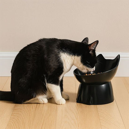 Gamelle Chat surélevée | PetitTrône - Chicetchat