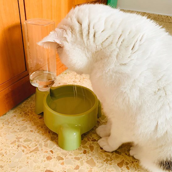 Distributeur eau chat | HydraFresh - Chicetchat