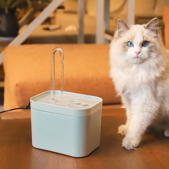 Fontaine eau chat | Silencia - Chicetchat