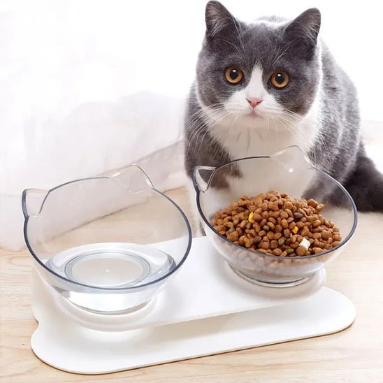 Gamelle chat | Félisse - Chicetchat