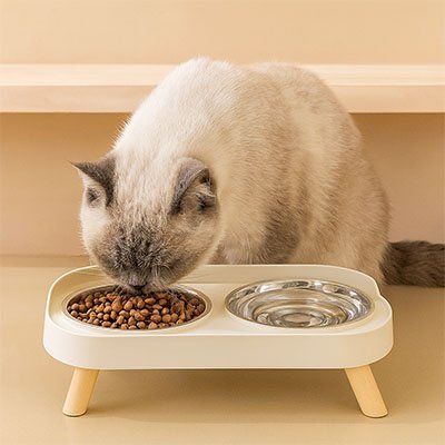 Gamelle pour chat | Catello - Chicetchat