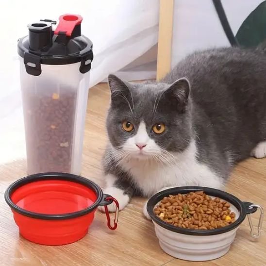 Gamelle chat | Feli - Chicetchat