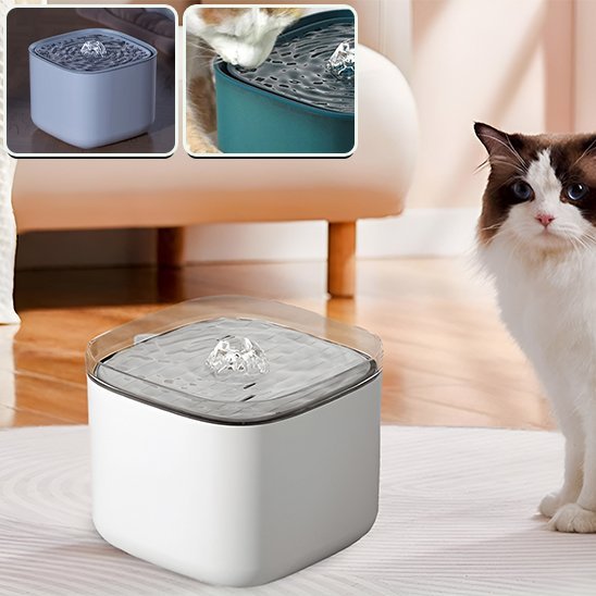 Fontaine à eau chat | Anti - déshydratation - Chicetchat