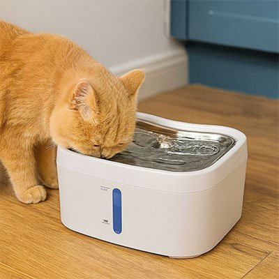 FONTAINE A EAU CHAT | PureFlow - Chicetchat