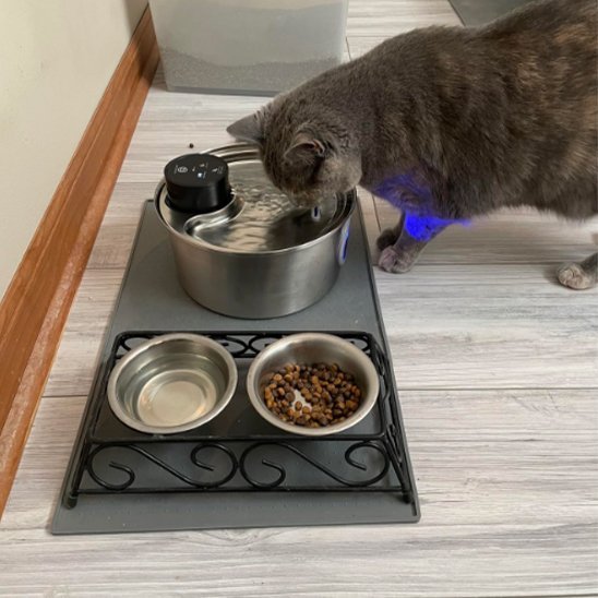 FONTAINE A EAU CHAT | SteelFresh - Ma boutique