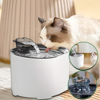 Fontaine à eau chat | Cascade Premium - Chicetchat