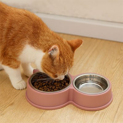 Gamelle pour chat | MiaouChef Édition - Chicetchat