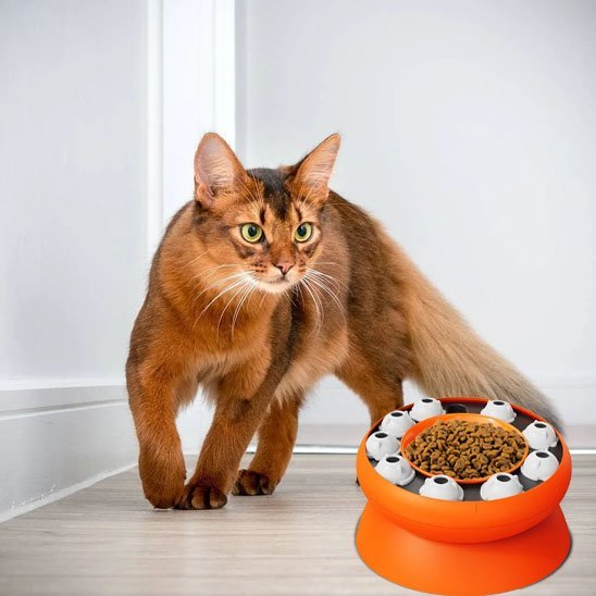 Gamelle chat | Feloria - Chicetchat