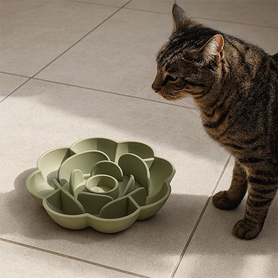 Gamelle anti glouton Chat | DigestoPause - Chicetchat