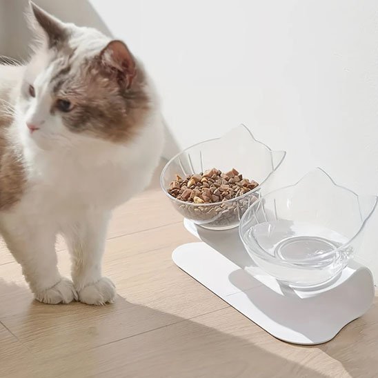 Gamelle chat | Félisse - Chicetchat