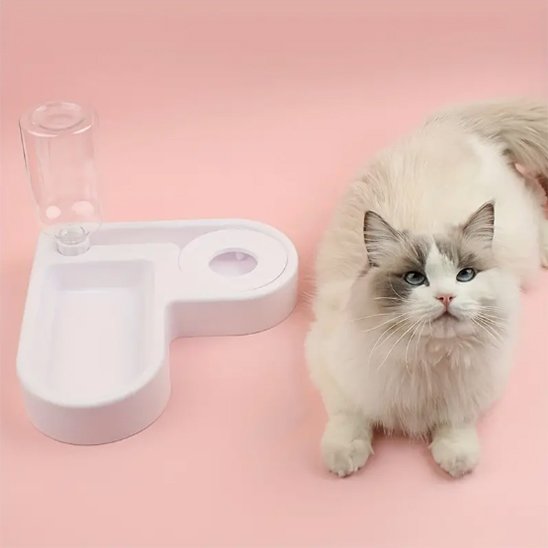 Gamelle chat | Chatiko - Chicetchat