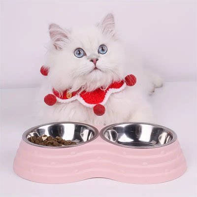 Gamelle chat | Double Délice - Chicetchat