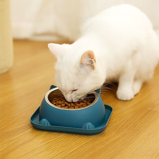 Gamelle chat | Perchoir Gourmand - Chicetchat