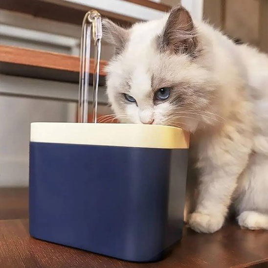 Fontaine eau chat | Silencia - Chicetchat