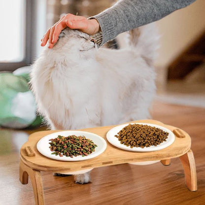 Gamelle chat | Catify - Chicetchat