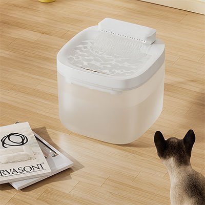 Fontaine eau chat | PureFlow - Chicetchat