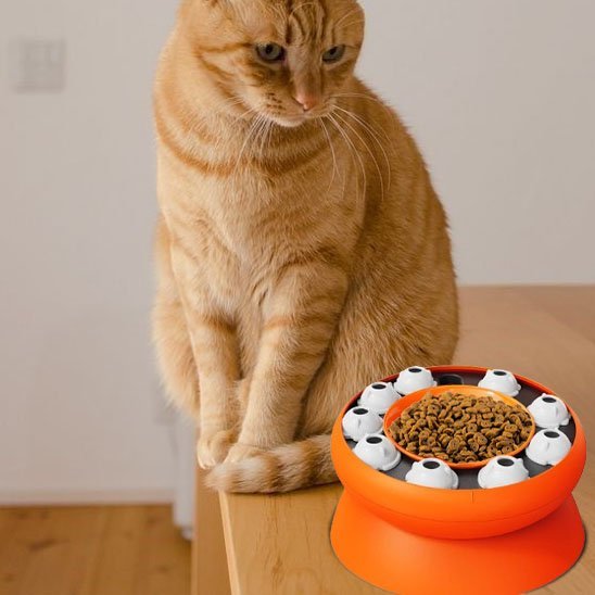 Gamelle chat | Feloria - Chicetchat