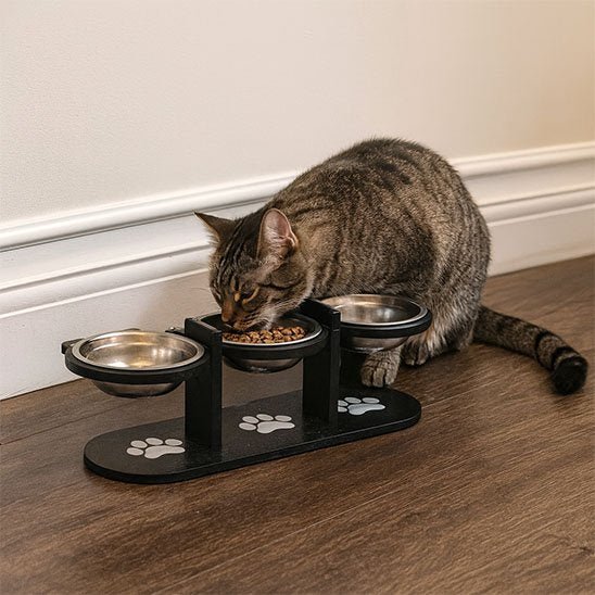 Gamelle Chat surélevée | FéliConfort - Chicetchat