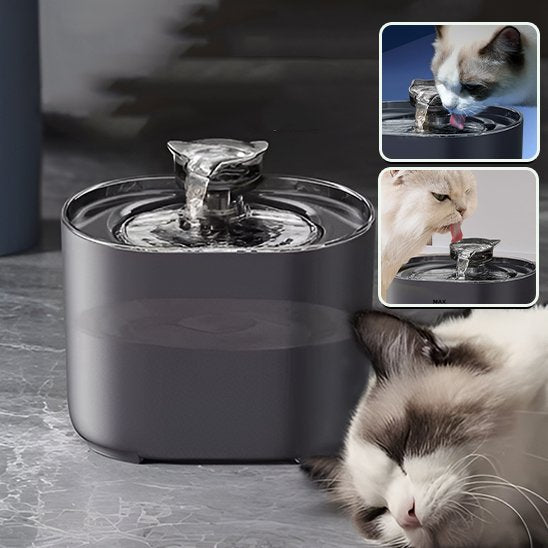 Fontaine à eau chat | Cascade Premium - Chicetchat
