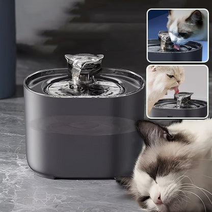 Fontaine à eau chat | Cascade Premium - Chicetchat