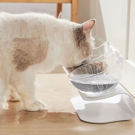 Gamelle chat | Félisse - Chicetchat