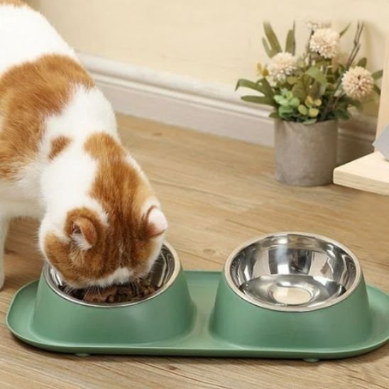 Gamelle chat | Maison Minou - Chicetchat