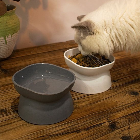 Gamelle chat | Lunobi - Chicetchat