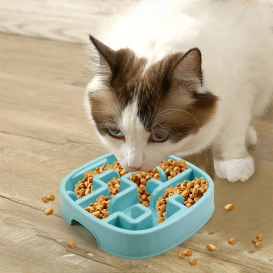 Gamelle anti glouton chat | BienManger - Chicetchat