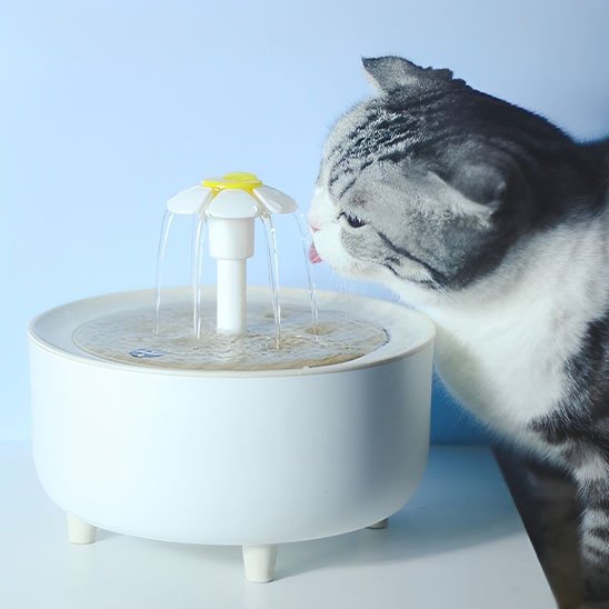 Fontaine à eau chat | HydraVital - Chicetchat