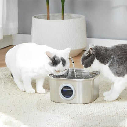 FONTAINE A EAU CHAT | Inox Santé - Chicetchat