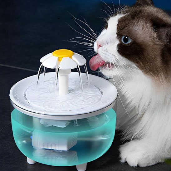Fontaine à eau chat | HydraVital - Chicetchat