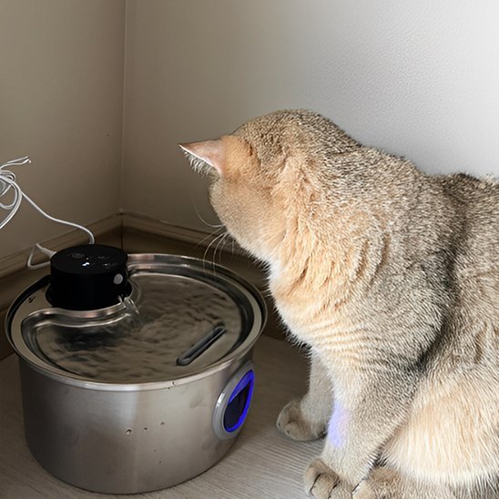 FONTAINE A EAU CHAT | SteelFresh - Ma boutique