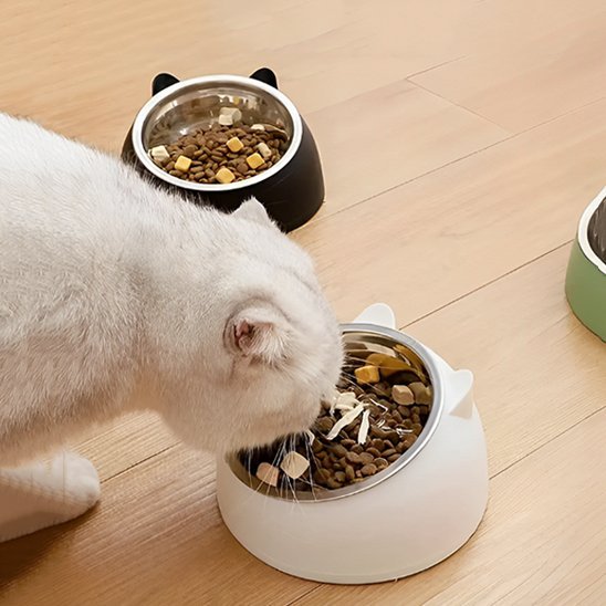 Gamelle chat | Minouva - Chicetchat