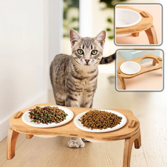 Gamelle chat | Catify - Chicetchat