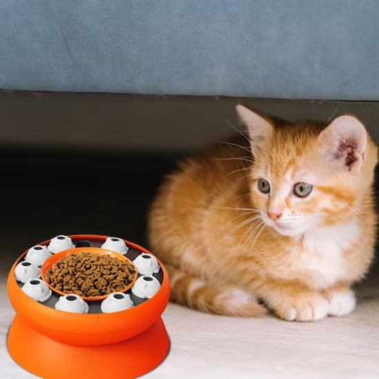 Gamelle chat | Feloria - Chicetchat