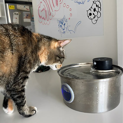 FONTAINE A EAU CHAT | SteelFresh - Ma boutique