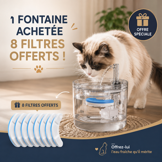 FONTAINE A EAU CHAT | ONDINOU